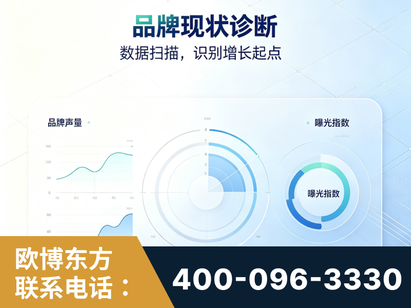 禄丰-品牌现状诊断