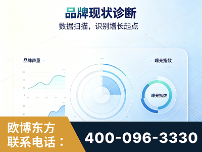 禄丰-品牌现状诊断
