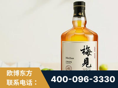 禄丰-梅见青梅酒